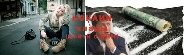 дживик Михайловск