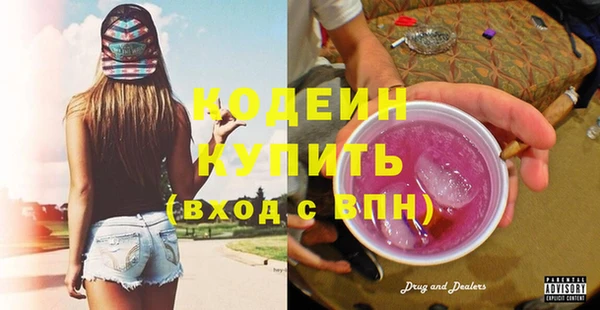 шишки Мегион