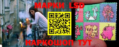 индика Гусь-Хрустальный