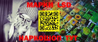 индика Гусь-Хрустальный