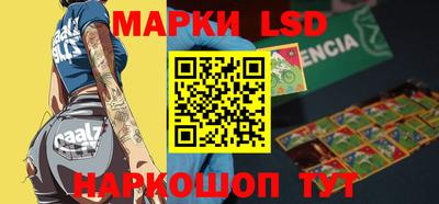 индика Гусь-Хрустальный