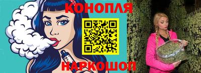 индика Гусь-Хрустальный