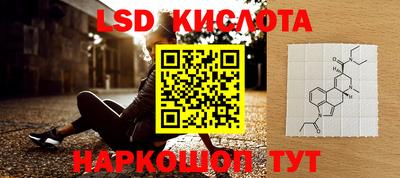 индика Гусь-Хрустальный