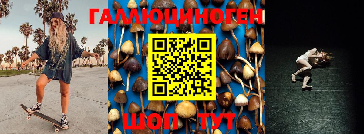 Калач-на-Дону  Галлюциногенные грибы Psilocybine cubensis  Вход с VPN 